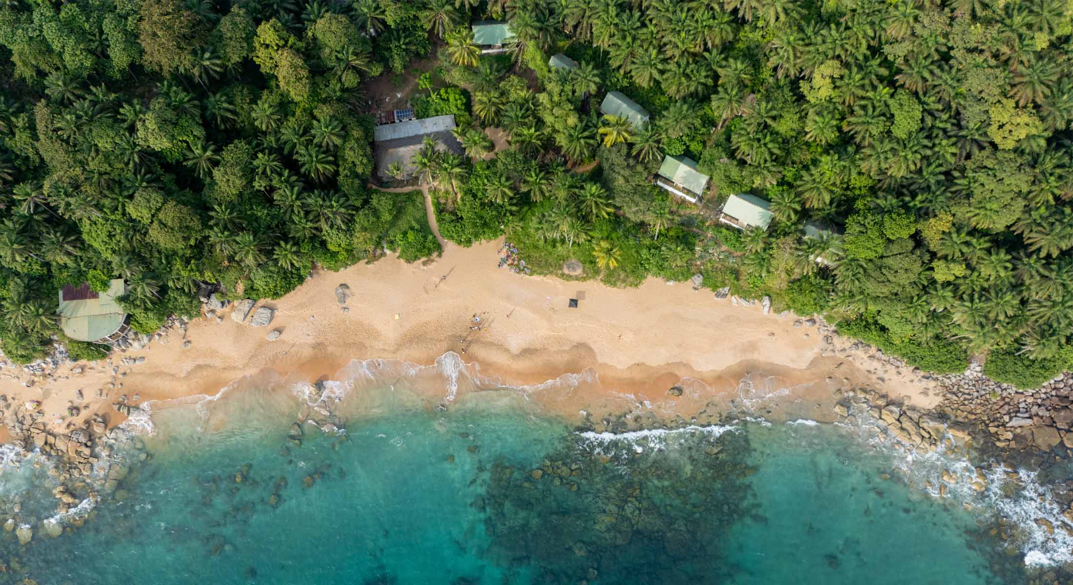 une vue aérienne d' une plage entourée d'une forêt tropicale