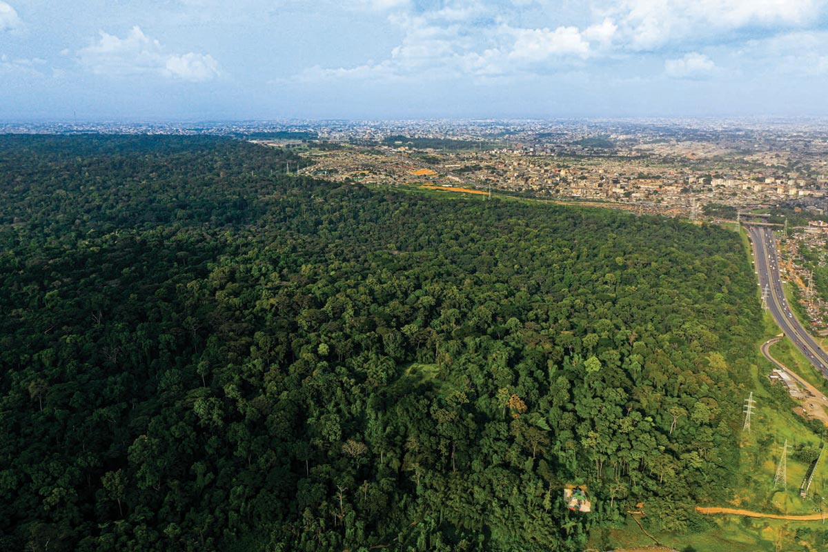 an aerial view of a forest with a city in the background